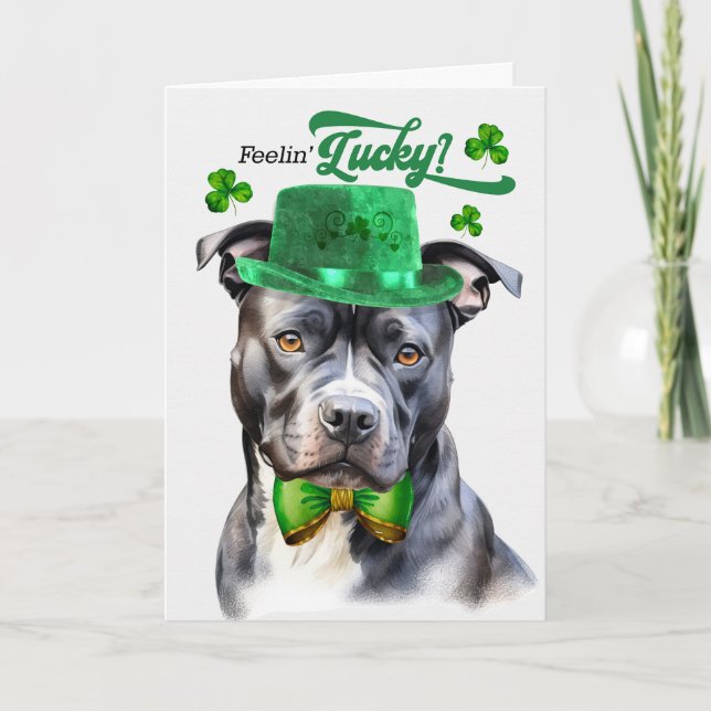 Grått Pit Bull Dog Feelin' Lucky St patrick's day Helgkort (Framsida)