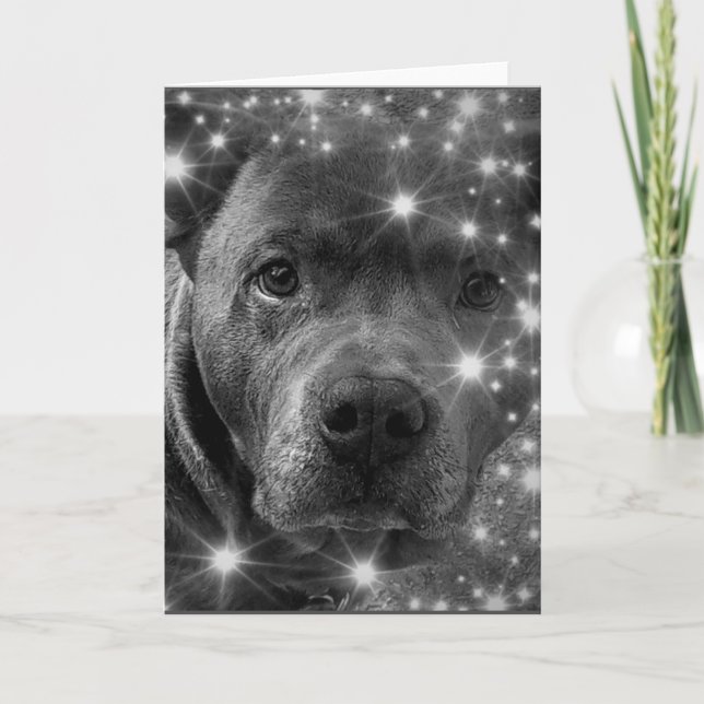 Grått Pitbull Terrier med Sparkles Hund älskare Kort (Framsida)
