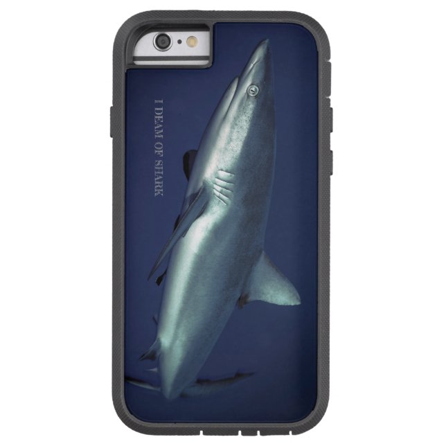 Grått Reef Shark in Yap Micronesia (Baksidan)