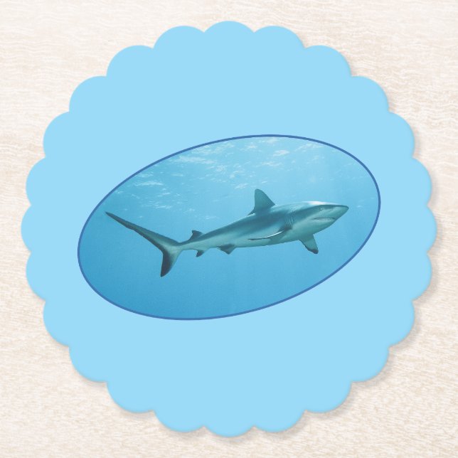 Grått Reefshark, Yap Island - Fotografisk utformni Underlägg Papper (Framsida)