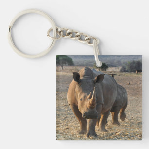 Grått Rhino i vilden