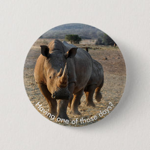 Grått Rhino i vilden Knapp