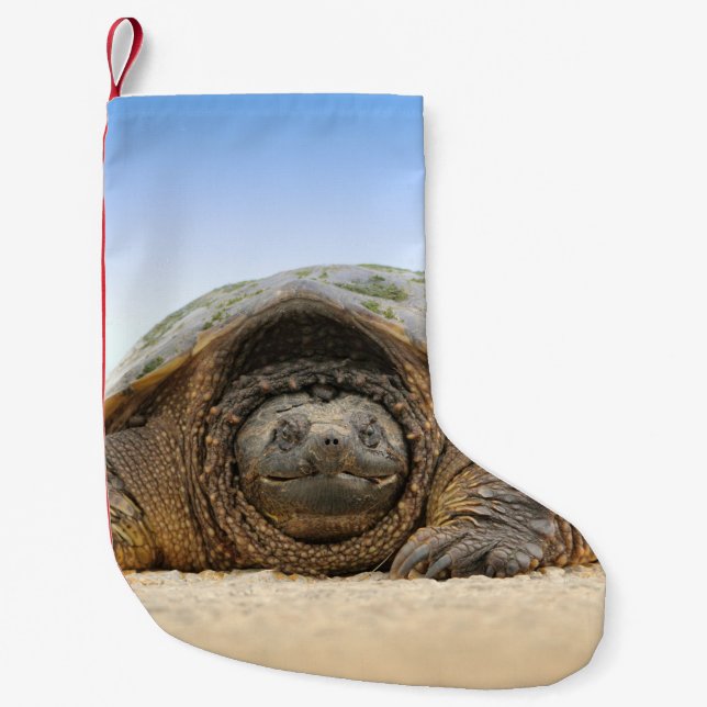 GRÅTT SAND TURTLE LITEN JULSTRUMPA (Framsidan)