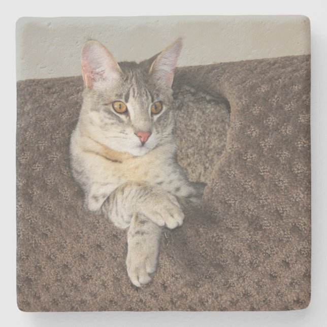 Grått Savannah Cat Square Underlägg (Framsidan)