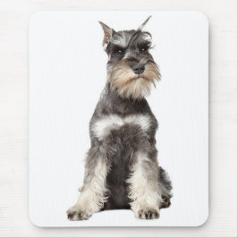 Grått Schnauzer Puppy Hund Mousepad Musmatta