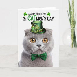Grått Scottish Fold Lucky Charm St CATricks dag Helgkort