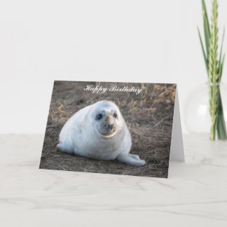 Grått Seal valp Birthday Card Kort