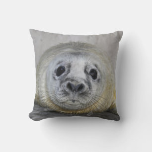 Grått Seal Valp Kudde