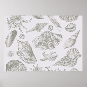 Grått Seashell Art Print Mönster Beachy Poster