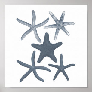 Grått Sjöliv Group12A Print #3 Starfish Poster