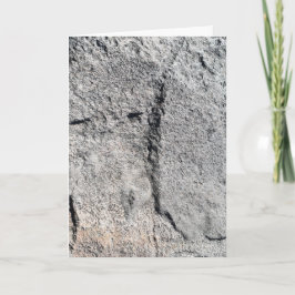 Grått Slate Sten Yta Kort