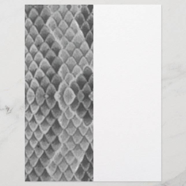 Grått Snakeskin (Framsida)