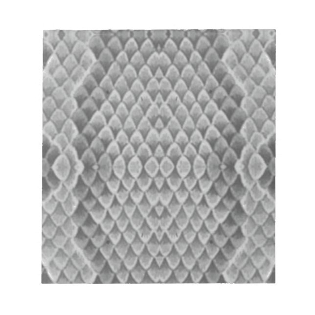 Grått Snakeskin Anteckningsblock (Framsida)