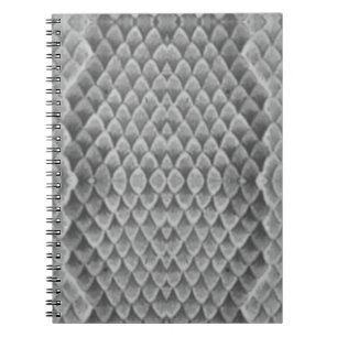 Grått Snakeskin Anteckningsbok Med Spiral