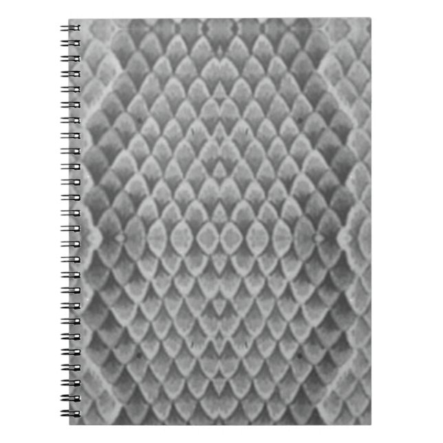 Grått Snakeskin Anteckningsbok Med Spiral (Framsidan)