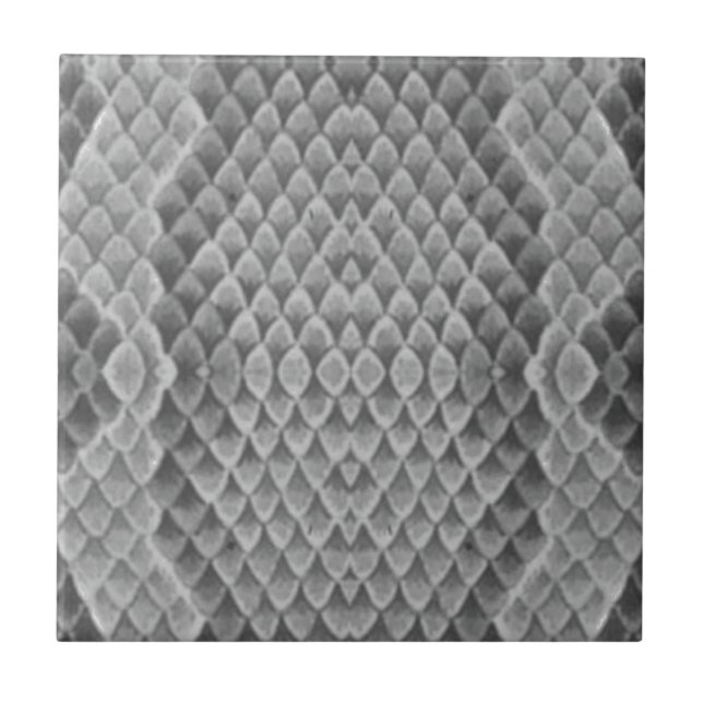 Grått Snakeskin Kakelplatta (Framsidan)