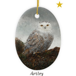 Grått Snowy Uggla Bird Paing Årlig jul Julgransprydnad Keramik