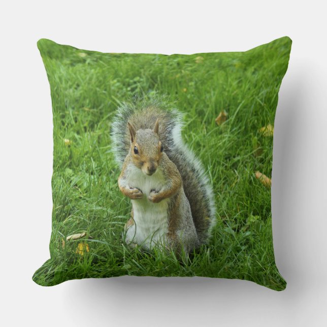 Grått Squirrel, Bute Park, Cardiff Kudde (Framsida)
