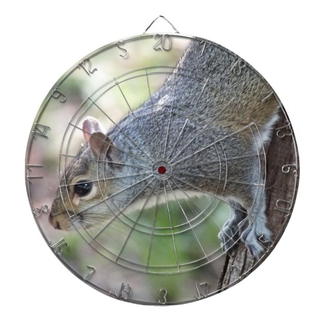 Grått Squirrel Dartboard Darttavla (Framsidan)
