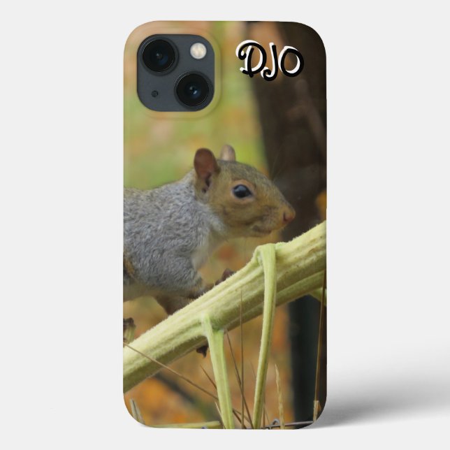 Grått Squirrel Fodral-Mate iphone case (Baksida)