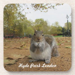 Grått Squirrel Hyde Park London. Underlägg
