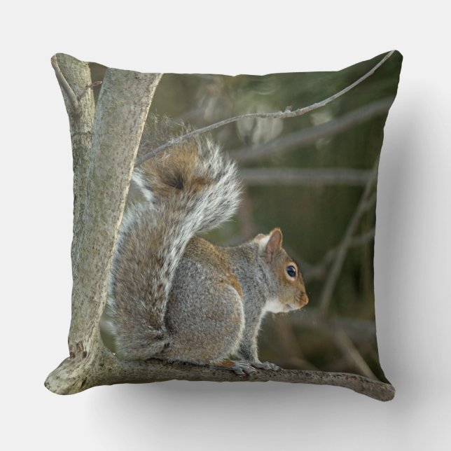 Grått Squirrel Kudde (Framsida)