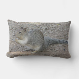 Grått Squirrel Photo Adsible Vild Woodland Animal Lumbarkudde