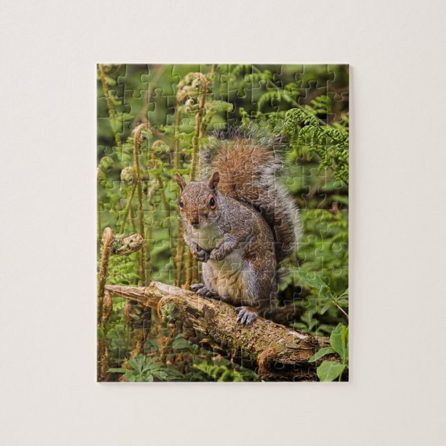 Grått Squirrel Puzzle/Jigszle med Tin Pussel (Vertikal)