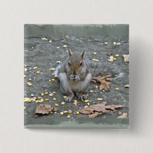 Grått Squirrel Series Knapp