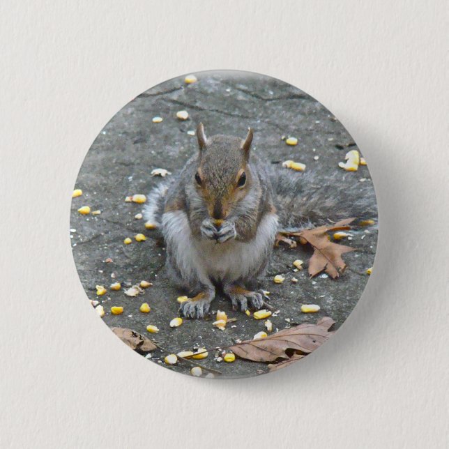 Grått Squirrel Series Knapp (Framsida)