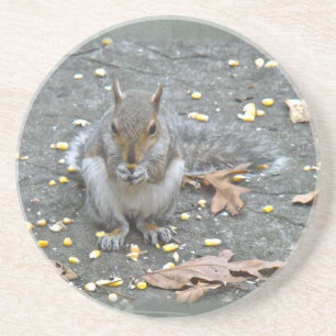 Grått Squirrel Series Underlägg Sandsten