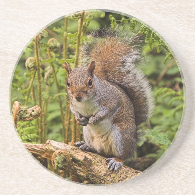 Grått Squirrel Underlägg Sandsten (Framsidan)