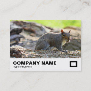 Grått Squirrel Visitkort