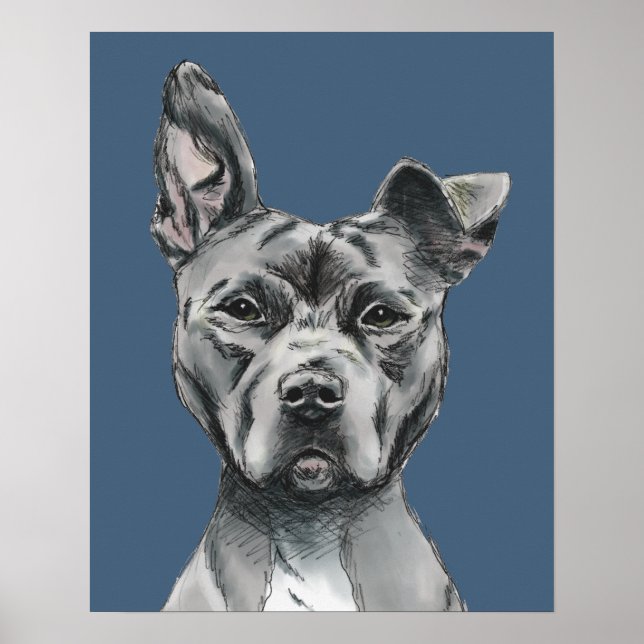 Grått Stalky Pit Bull Dog Teckning Poster (Framsidan)