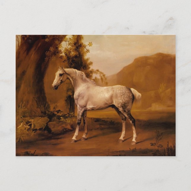 Grått Stallion i ett landskap av George Stubbs Vykort (Framsida)