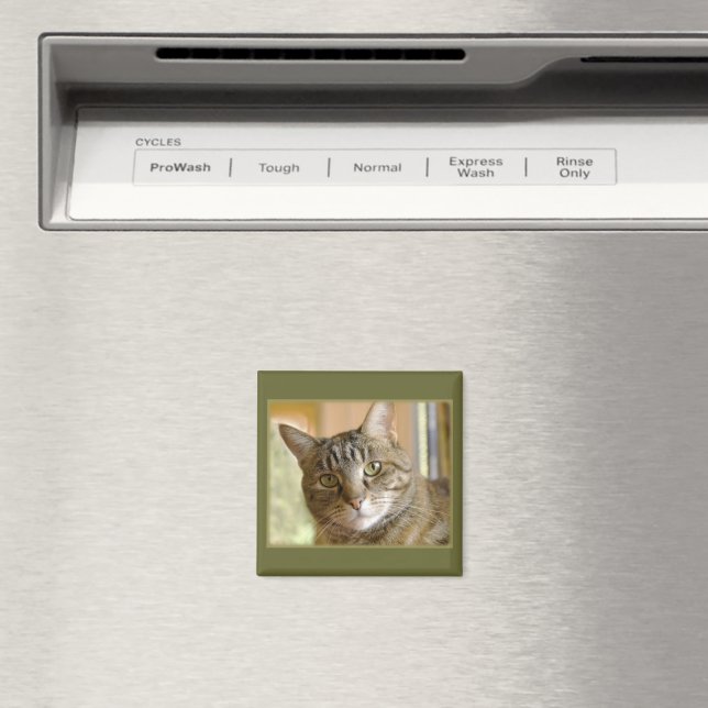 Grått Tabby Close Up Photographic Magnet (In Situ (Dishwasher))