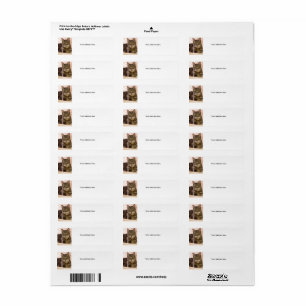 Grått tabby katt adressetiketter returadress etikett