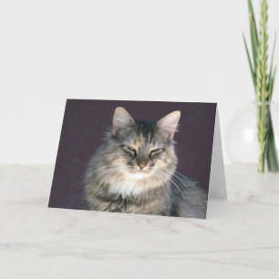 Grått Tabby katt-anteckningskort Kort