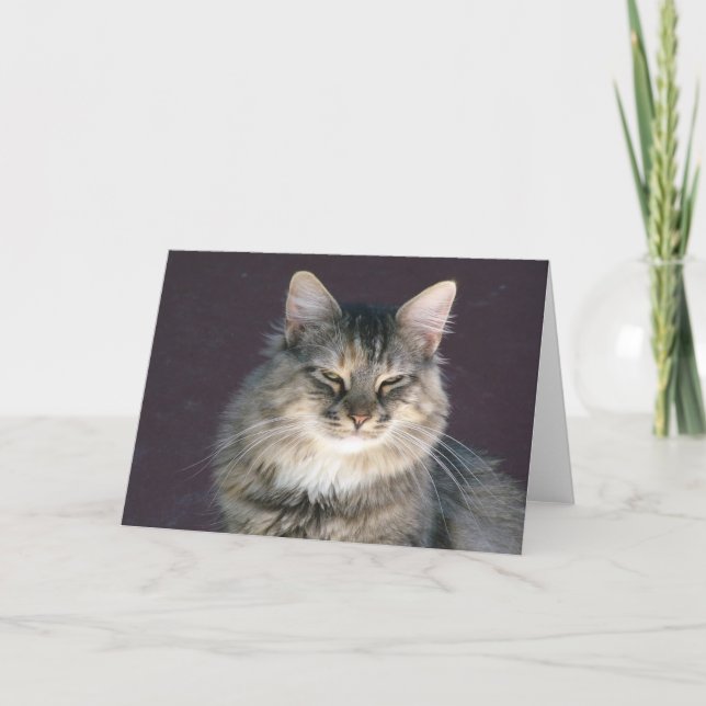 Grått Tabby katt-anteckningskort Kort (Framsida)