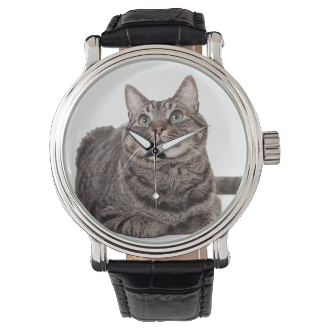 Grått Tabby katt Armbandsur (Framsida)