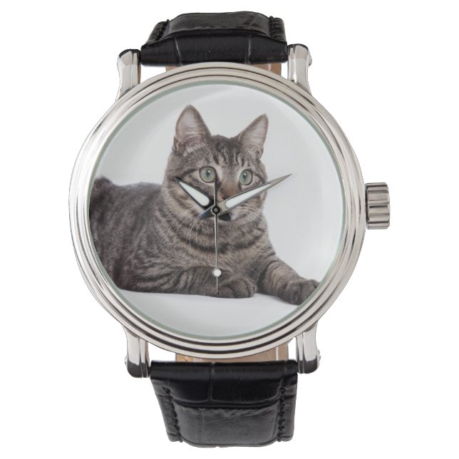 Grått Tabby katt Armbandsur (Framsida)