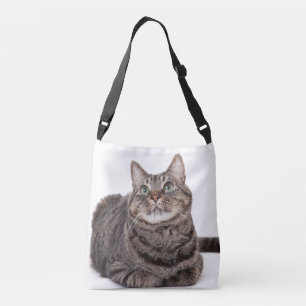 Grått Tabby katt Axelväska