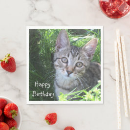 Grått Tabby katt Birthday Pappersservett
