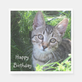 Grått Tabby katt Birthday Pappersservett