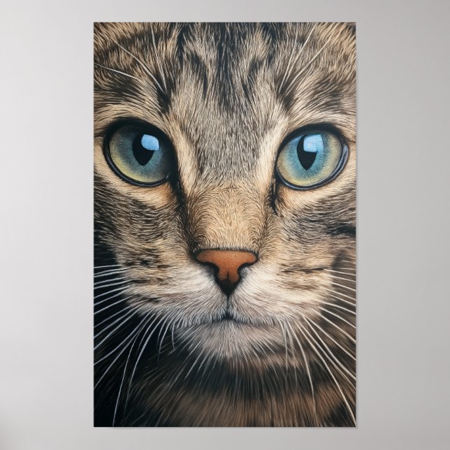 Grått tabby katt closeup poster (Framsidan)