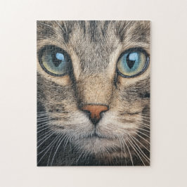 Grått tabby katt closeup pussel