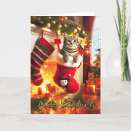 Grått Tabby katt i ett julklapp Helgkort