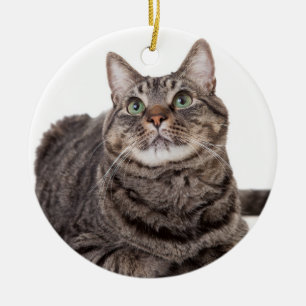 Grått Tabby katt Julgransprydnad Keramik