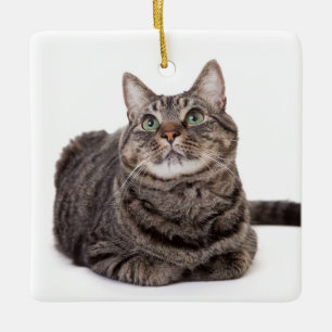 Grått Tabby katt Julgransprydnad Keramik