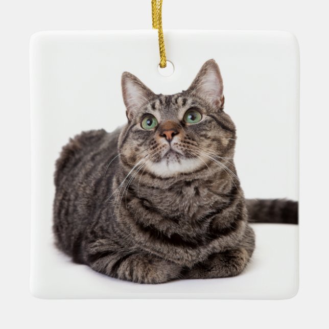 Grått Tabby katt Julgransprydnad Keramik (Framsida)